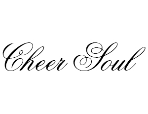 Cheer Soul Cheer Soul