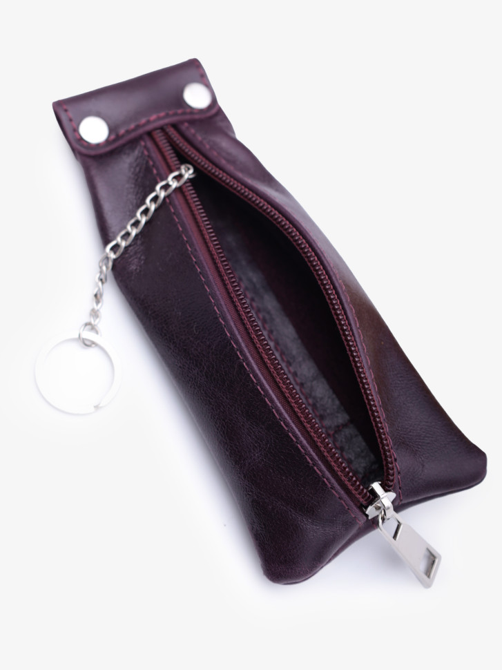 Футляр для ключей RHino 03 слива друид Футляр для ключей RHino 03 слива друид