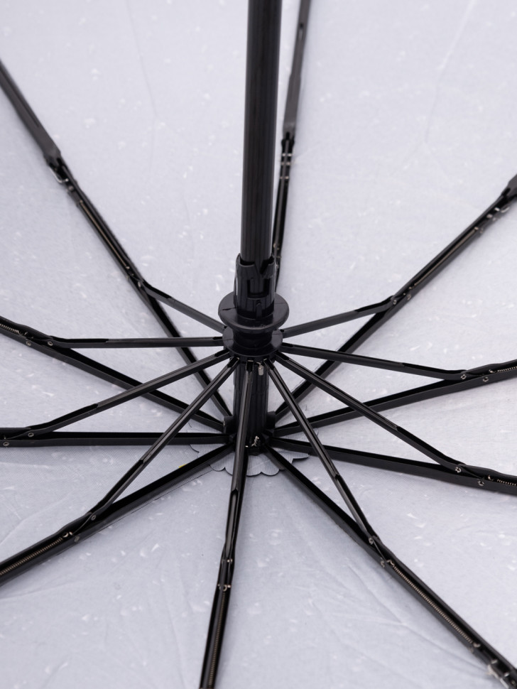 Зонт женский EuroClim 136 достопримечательности Петербурга