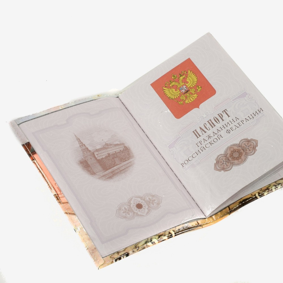 Обложка для паспорта 02-006-018-17 "Вид на Петропавловку" Обложка для паспорта 02-006-018-17 "Вид на Петропавловку"